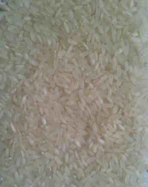 Gạo Camolino Viêt Nam Vỡ 5%